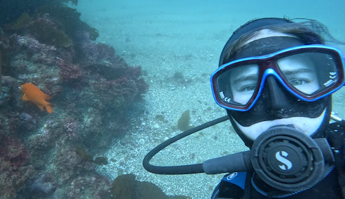 Me in SCUBA gear underwater with a garibaldi fish in the background